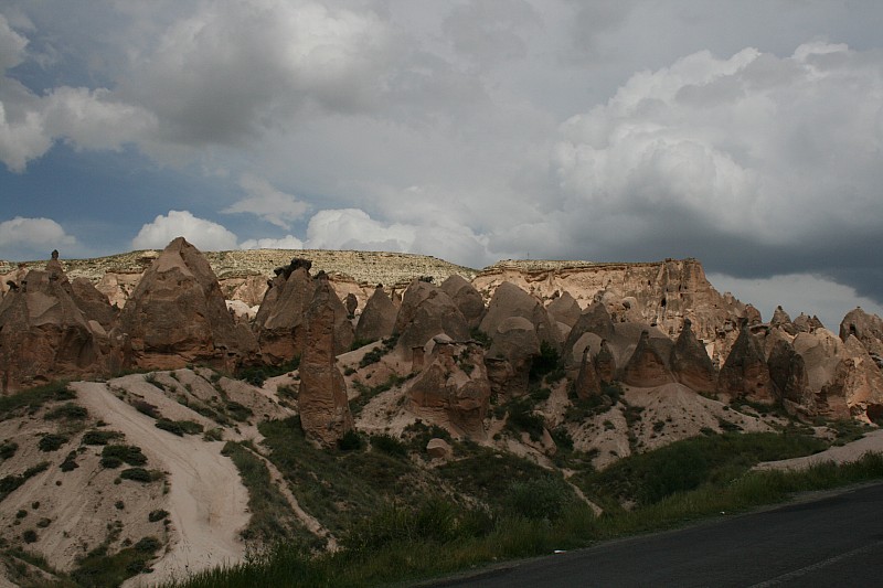 Quando la Natura crea